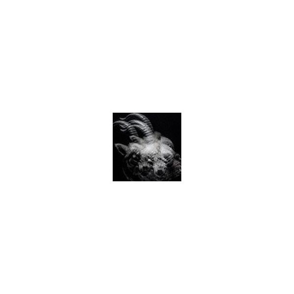 the GazettE / BEAUTIFUL DEFORMITY（通常盤） [CD] : ぐるぐる王国DS