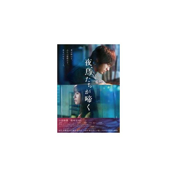 夜、鳥たちが啼く 通常版 [DVD]