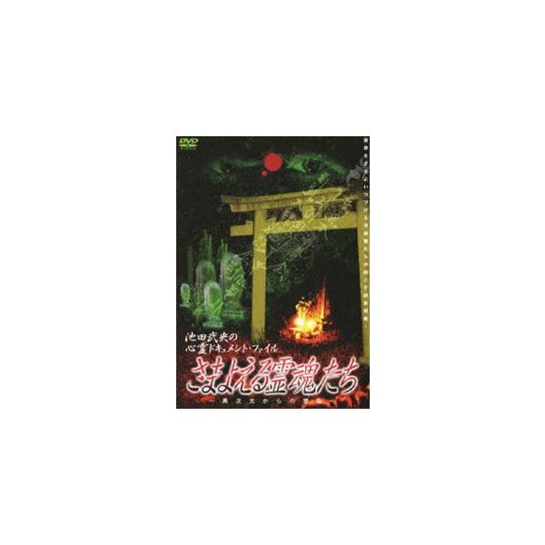 池田武央の心霊ドキュメント・ファイル さまよえる霊魂たち [DVD]