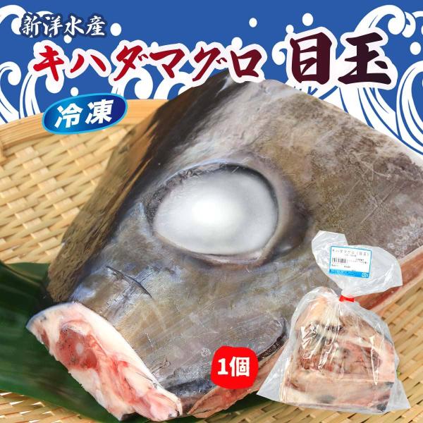 [新洋水産] 食品 キハダマグロ(目玉) 1個/まぐろ目玉/目玉の煮付け/塩焼き/潮汁/希少部位/コラーゲン/目玉の塩焼き/ゼラチン/トロトロ/珍味