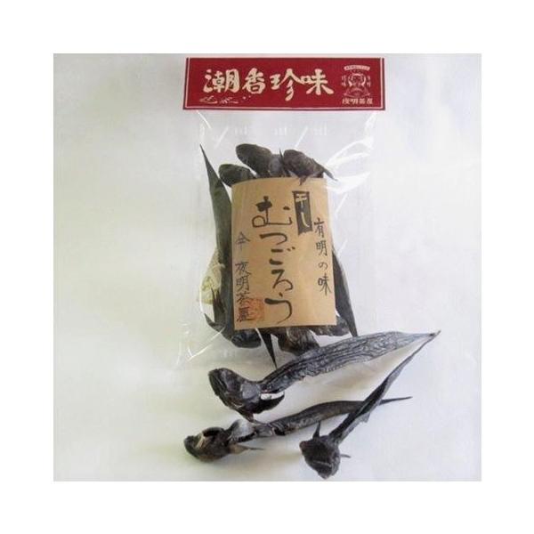 福岡県 ムツゴロウ おいしい お取り寄せ グルメ ギフト 夜明茶屋 干しむつごろう 6尾 D Style Shop ヤフー店 通販 Yahoo ショッピング