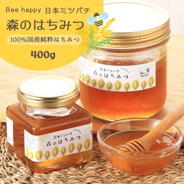 ニホンミツバチ 日本蜜蜂 生ハチミツ 冬と夏 計1792g