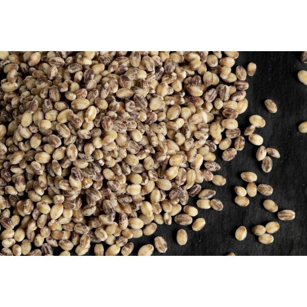 まんでがん 讃岐もち麦 ダイシモチ お徳用 1kg