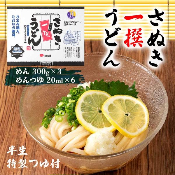 讃州 一撰 讃岐半生うどんつゆ付 箱入り Si 3t 10g めん 300g 3袋 めんつゆ ml 6 お土産 ギフト 中元 歳暮 香川 D Style Shop ヤフー店 通販 Yahoo ショッピング