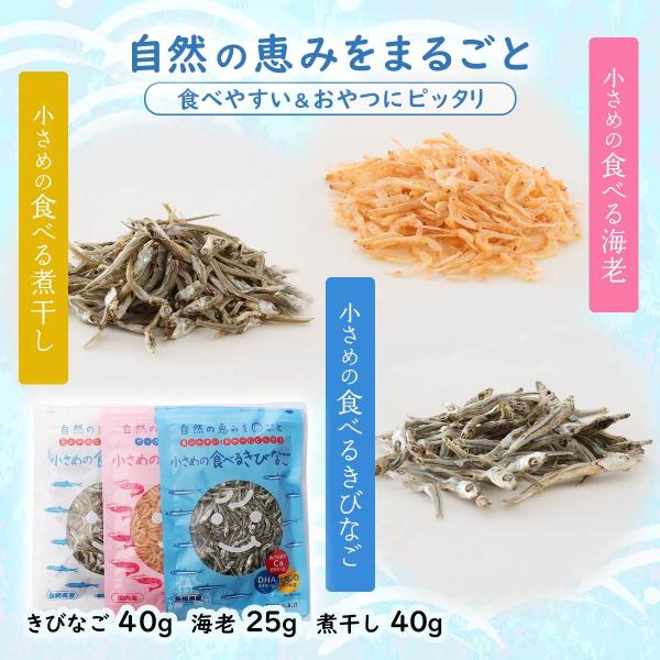 食べる煮干し 検索ランキング注目度順 食べる煮干し 総合