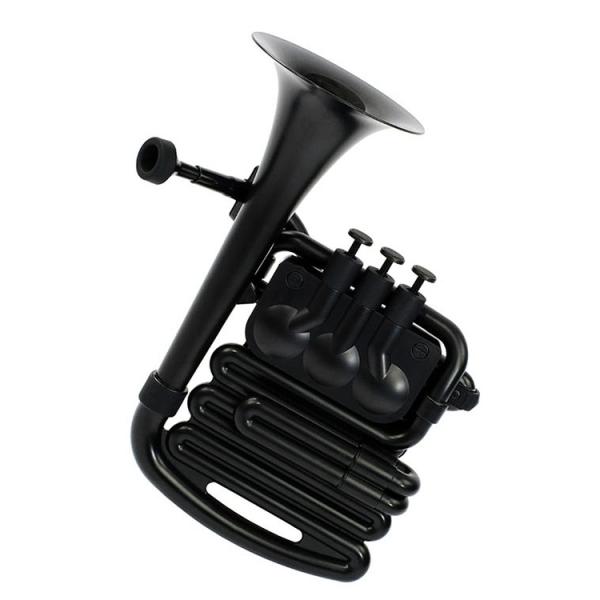 jHornは、初心者からあらゆる年齢のカジュアルプレーヤーに適した革新的な金管楽器です。多くの金管楽器は B♭でチューニングされているので、B♭チューブがはじめに取付けられています。コンサートピッチに設定できるように Cチューブも付属してい...