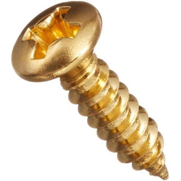 他サイト： SCUD TS-01GH ピックガード用ビス オーバルヘッド ミリ ゴールド 3x11.5mmの商品画像