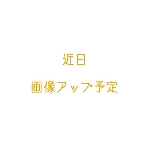 ディズニー カメラストラップ カメラの人気商品 通販 価格比較 価格 Com