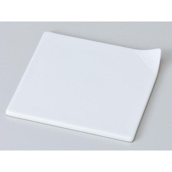  ԓ  M/ 10cm /ٓ  M ̓ Ɩp