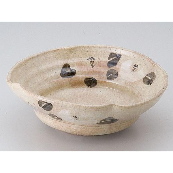 aH p/ ֕؉Z /唫  蔫 M  Ɩp Versatile Shallow Bowl