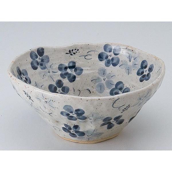 aH p/ q ԃ{[lij /唫  蔫 M  Ɩp Versatile Shallow Bowl