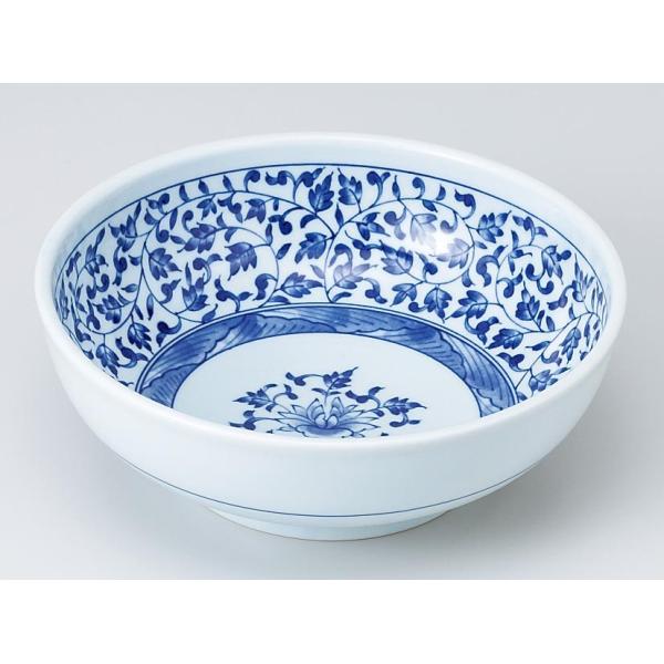 aH p/ Èɖ6.0 /唫  蔫 M  Ɩp Versatile Shallow Bowl