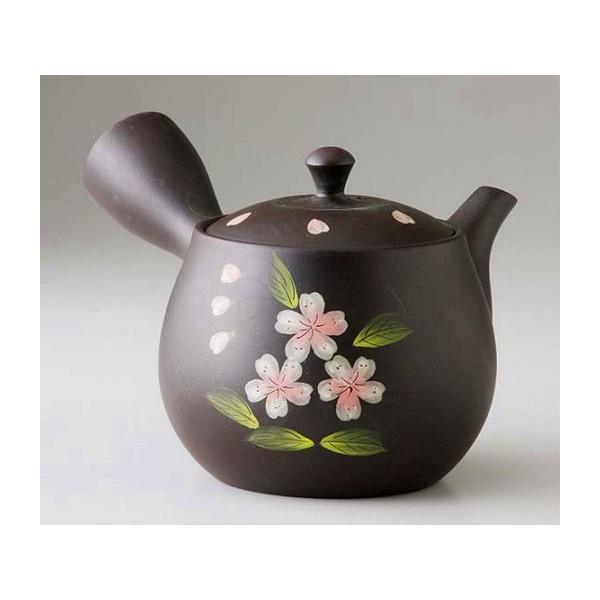 ybsOz / D}{ /Mtg 蕨 v[g hV̓@Vzj o ̓ ̓