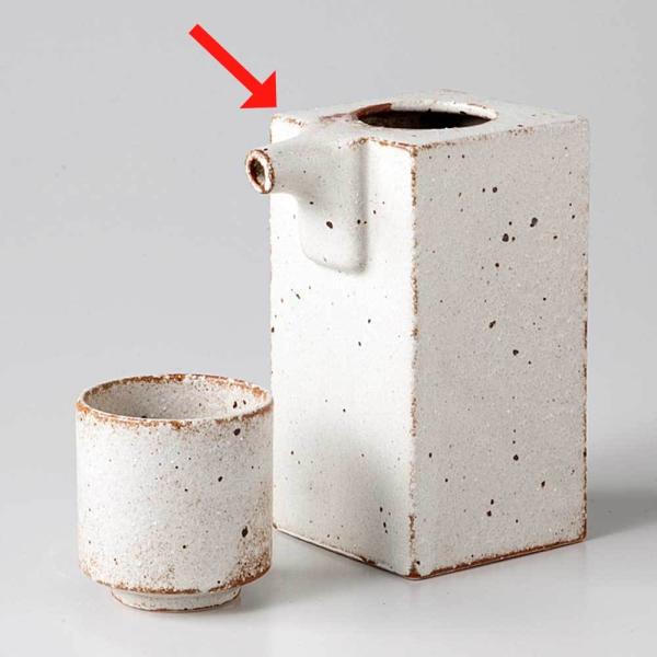   / Tru p /{ Ɩp ƒp 蕨 v[g