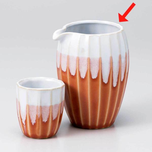   / sNh蕪ڗ /{ Ɩp ƒp 蕨 v[g