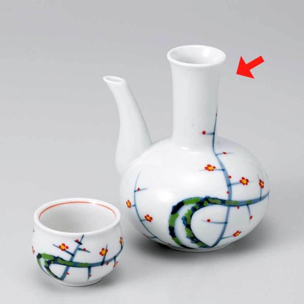   / ޓ~ /{ Ɩp ƒp 蕨 v[g