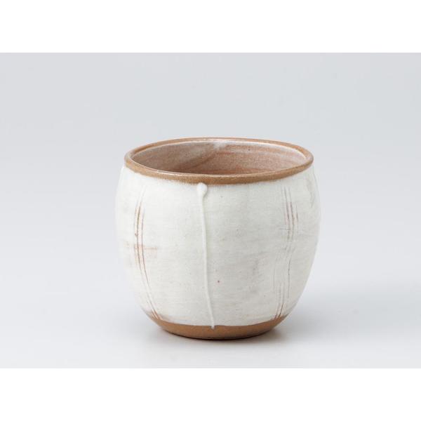  t[Jbv/ gNTyRĒJbv /Ē { mAR[ ~ Ɩp ƒp Mtg v[g 蕨 cup without handle