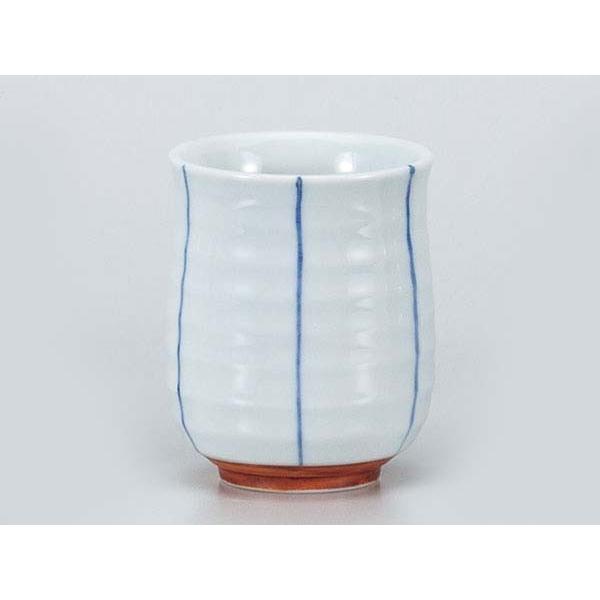 i/ gNTi /  Mtg v[g 蕨