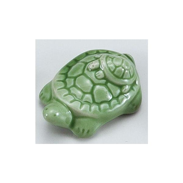 u   킢/ TiO[ju /u ͂ Jg[Xg Ɩp Mtg CeAɂ