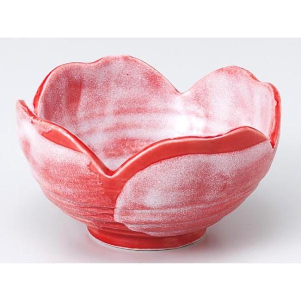 aH  t/  ԍюlcRij /  Ɩp ƒp Small sized Bowl