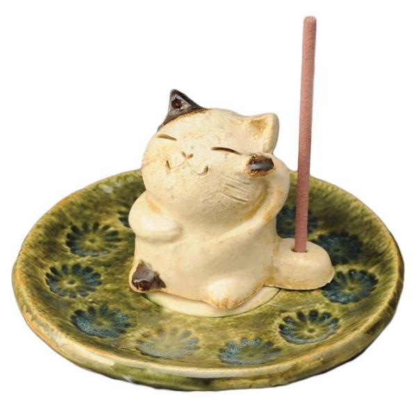  葢 M / D MiLj /u CeA v[g 蕨