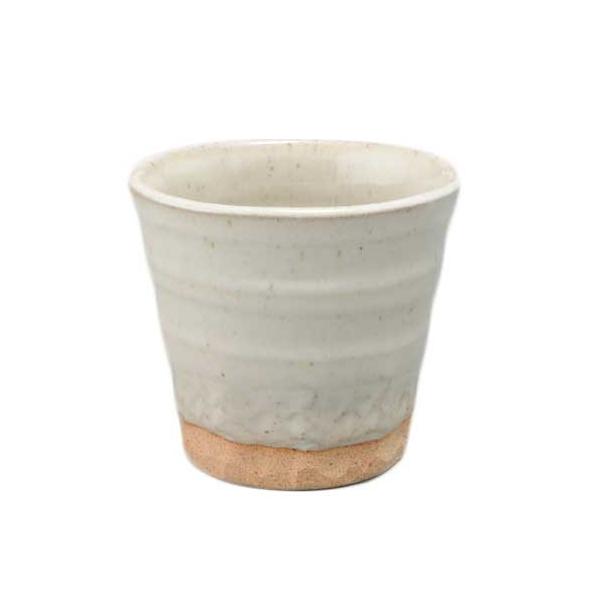  t[Jbv rAJbv/  ĒJbv /Ē { mAR[ ~ r[ Ɩp ƒp Mtg v[g 蕨