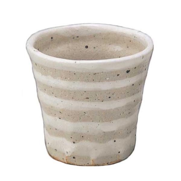  t[Jbv rAJbv/ C bNJbv /Ē { mAR[ ~ r[ Ɩp ƒp Mtg v[g 蕨