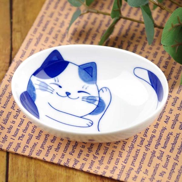 y  13cm / ˂~P 4.0iȉ~j /LObY lR  ƒp a ₵