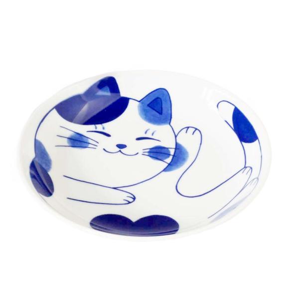 y  M 20cm/ ˂~P 6.0M /L lR  ƒp a ₵