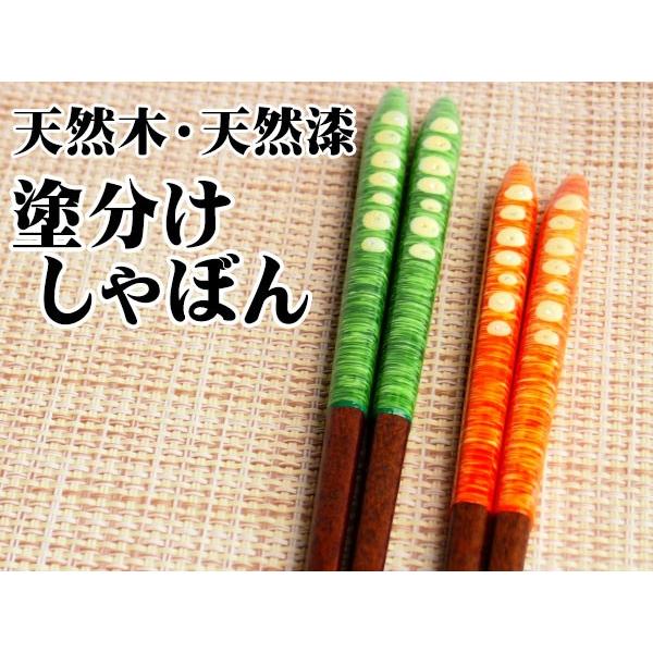 bsO Mtg 蕨 v[g/ VR؁EVR̎葢蔢 hڂ /hV̓@Vzj o ̓ ̓