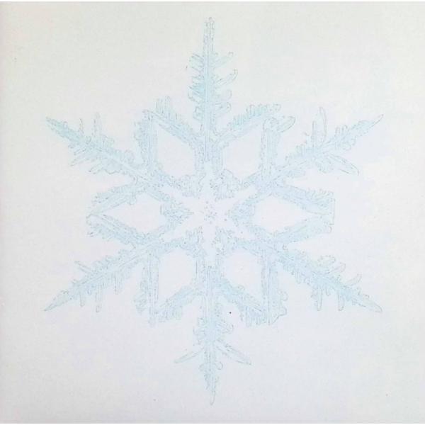 スノースマイル BUMP OF CHICKENJAN/品番  4988061890494　トイズファクトリーToysfactoryレコードCD,邦楽