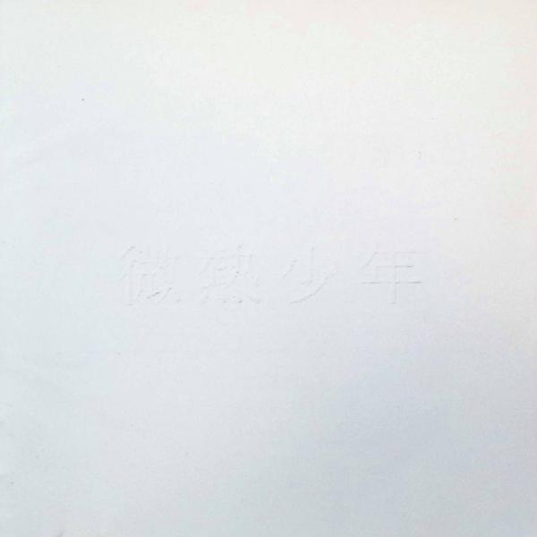 微熱少年 オリジナル・サウンドトラックJAN/品番  4988009545066 / 株式会社ソニー・ミュージックレコーズCD,サントラ