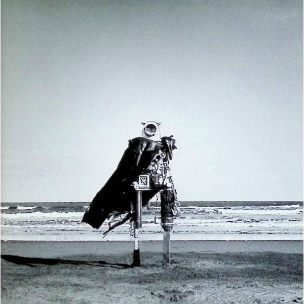 涙のふるさと BUMP OF CHICKENJAN/品番  4988061891910　トイズファクトリーToysfactoryレコードCD,邦楽