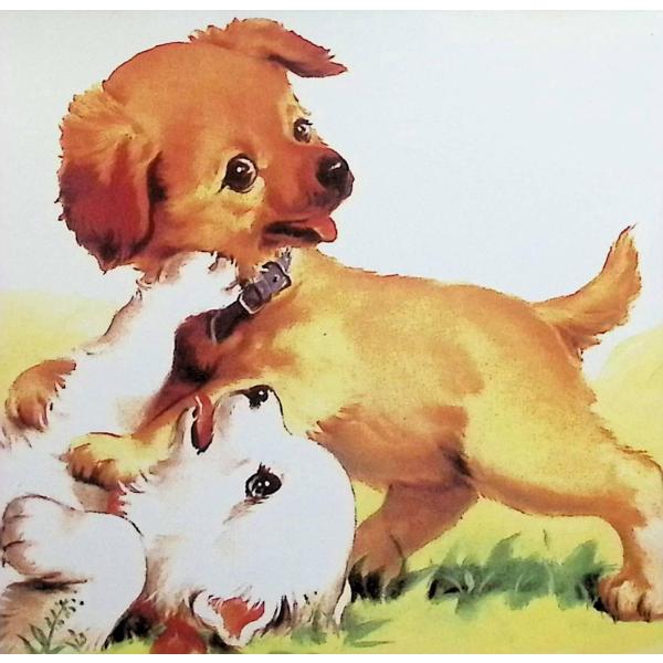 Welcome Back,ズボンズ! ZoobombsJAN/品番  4988001020196　クアトロQuattro(parco)CD,邦楽