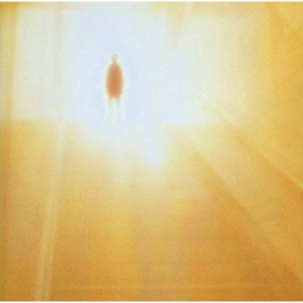 友達の唄 BUMP OF CHICKENJAN/品番  4988061893334　トイズファクトリーToysfactoryレコードCD,邦楽