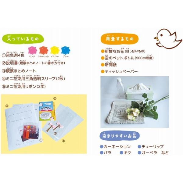 1日でできる自由研究 切り花染色剤 フラワーパレット Buyee Buyee Japanese Proxy Service Buy From Japan Bot Online