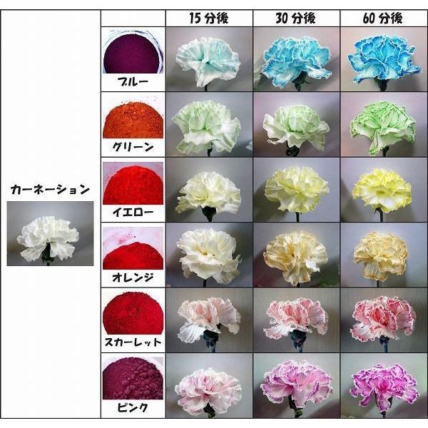 切り花染色剤 フラワーパレット 1回分 6色セット Buyee Buyee Japanese Proxy Service Buy From Japan Bot Online
