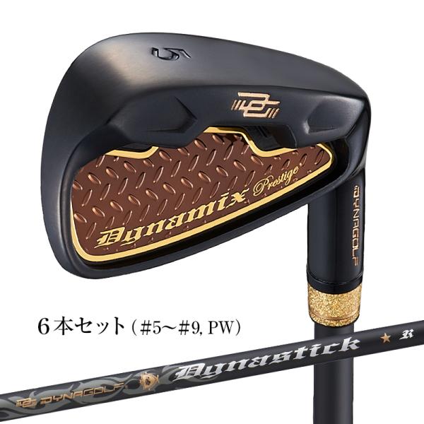 DYNAGOLF ゴルフ クラブ メンズ アイアンセット 6本セット 5I 6I DYNAGOLF ゴルフ クラブ メンズ アイアンセット 6本セット 5I 6I