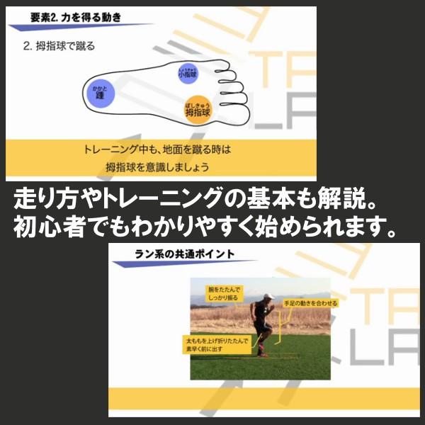 タニラダー ベーシック チーム用ラダー4本セット 解説dvdとコーチングガイド付き スポーツ 送料無料 Taniladderset イースリーショップ