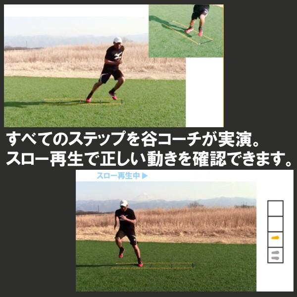 タニラダー ベーシック チーム用ラダー4本セット 解説dvdとコーチングガイド付き スポーツ 送料無料 Taniladderset イースリーショップ