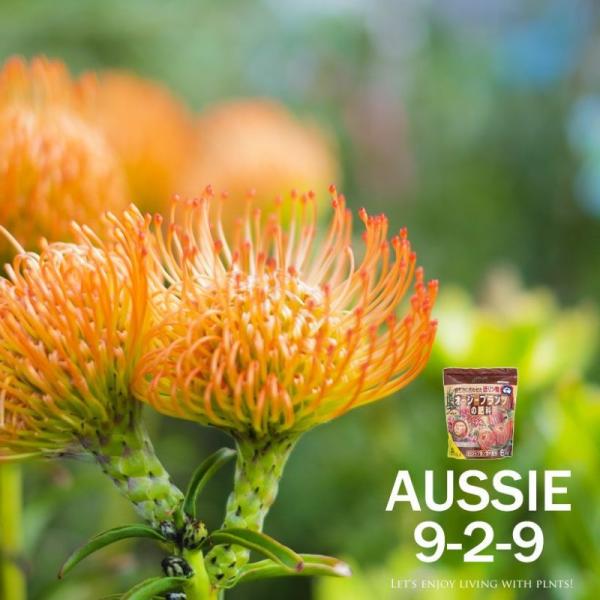 e-8783_aussie-plants