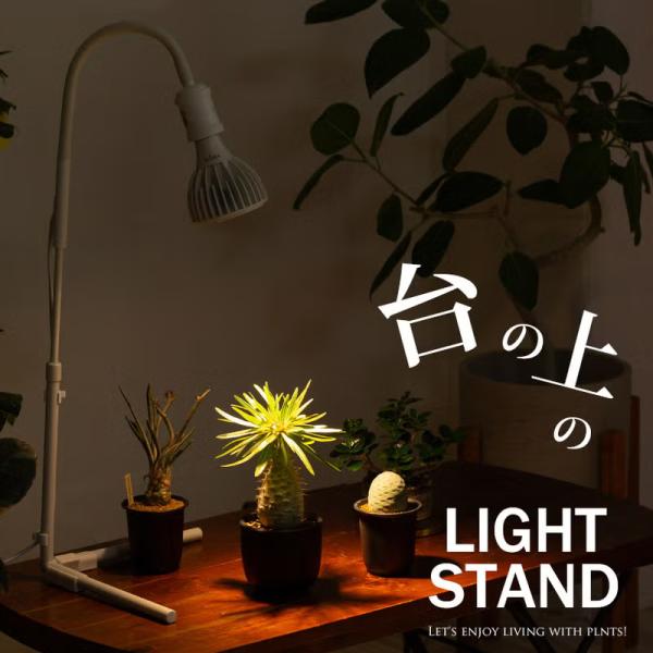 植物 育成ライト 台の上に置くならコレ！植物ライトスタンド（高さ68cm）