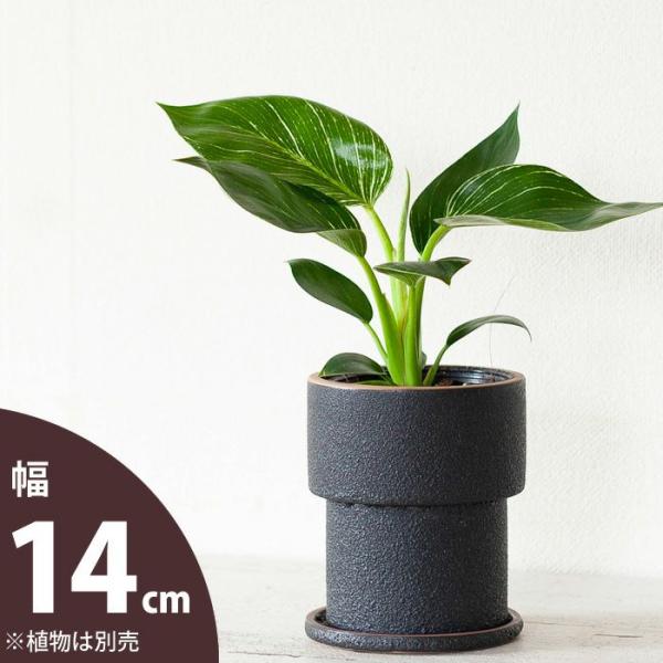 鉢 植木鉢 おしゃれ 室内 陶器鉢 ザラっとした質感。渋カワ（12.5ｃｍ）