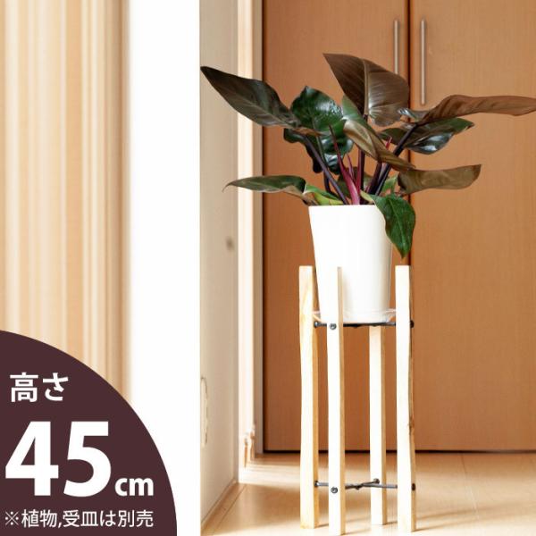 t[X^h ԑ ϗtA  vgX^h ؐ  fBXvC VvisxXgȁAؐX^hiji21j