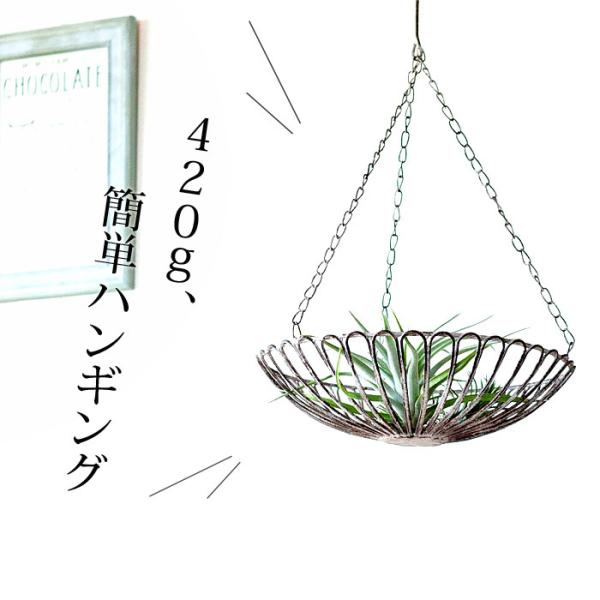 GAvc nMO G  ݂邷 nMOC[gCi26j