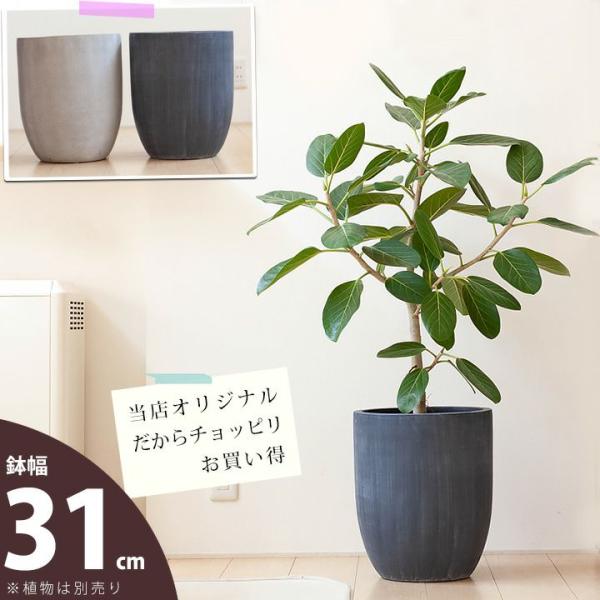 植木鉢 陶器 おしゃれ 大型 鉢カバー 店長お勧め！サイズ感GOOD