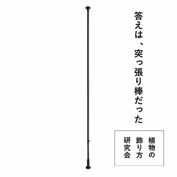 DRAW A LINE h[AC ς_  Lk CeA cp̓˂_i200`270cm)DRAW A LINEV[YȊO͓s