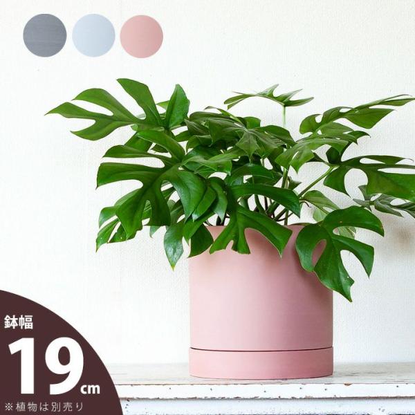 鉢 植木鉢 鉢カバー セラミック 受皿一体型シリンダー陶器鉢L（19cm