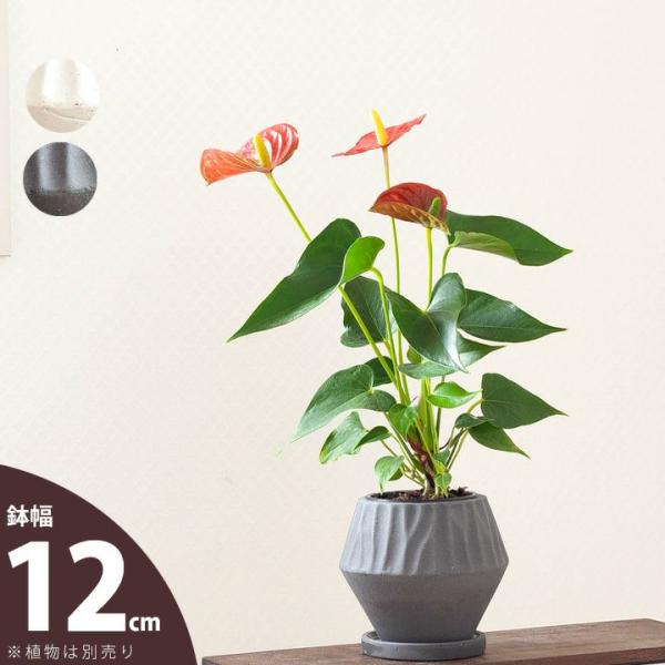 k18 菱形の花鳥柄　鉢 gd3476_c4.jpg