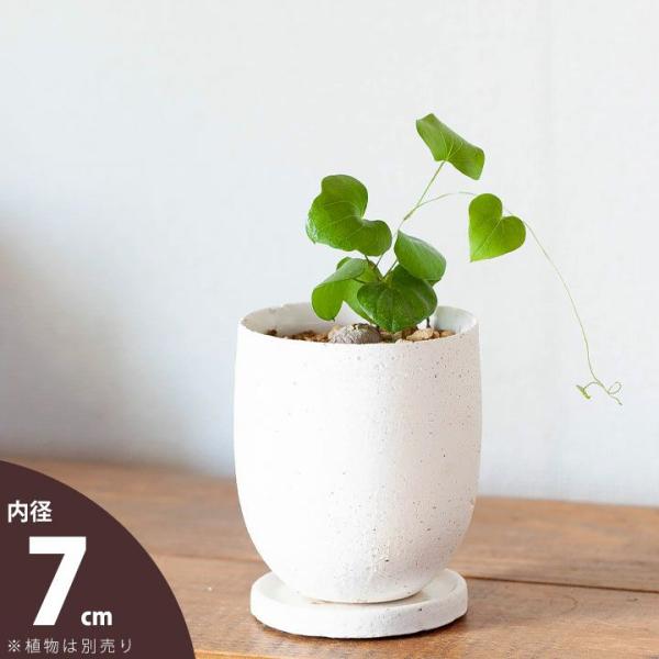 Flowerさまプラスチック7号鉢 白色たまごを抱いたうさぎさんクラシックローズ 鉢 植木鉢 優しい雰囲気が好き。卵みたいな陶器鉢（7.5cm)2.5号サイズ